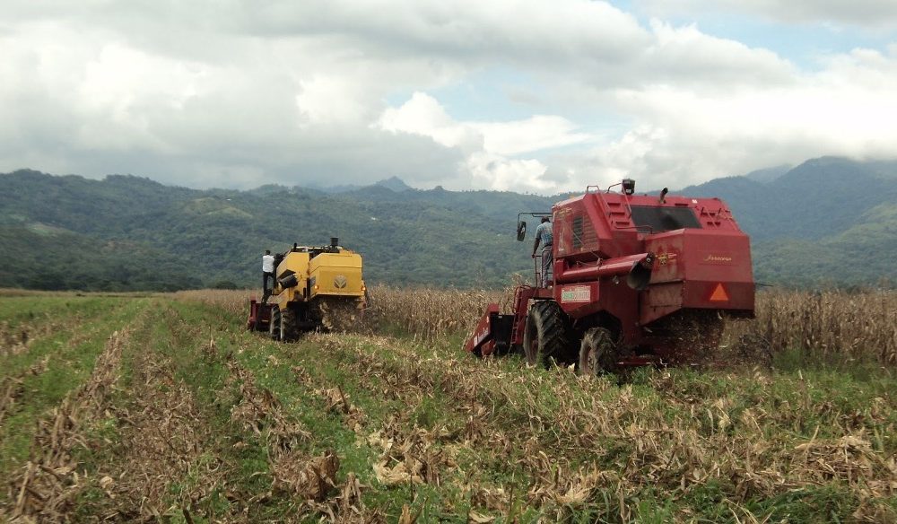 jóvenes agricultores