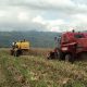 jóvenes agricultores