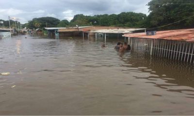 NoticiasACN, Sucesos, destacado, inundaciones, en Apure, y Bolivar - acn