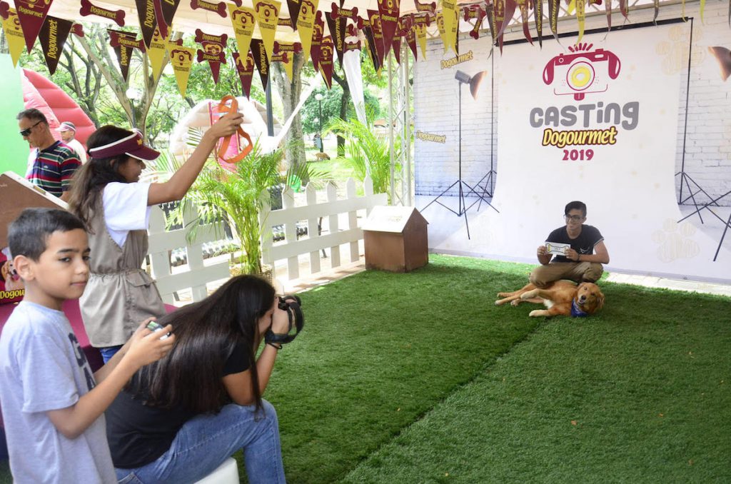 ACN- “Perros” participaron en Gran Casting Dogourmet 2019 en Carabobo