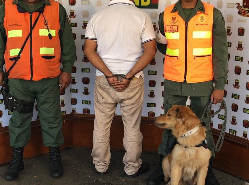 ACN- GNB capturó a traficante con 139 kilos de droga en Carabobo