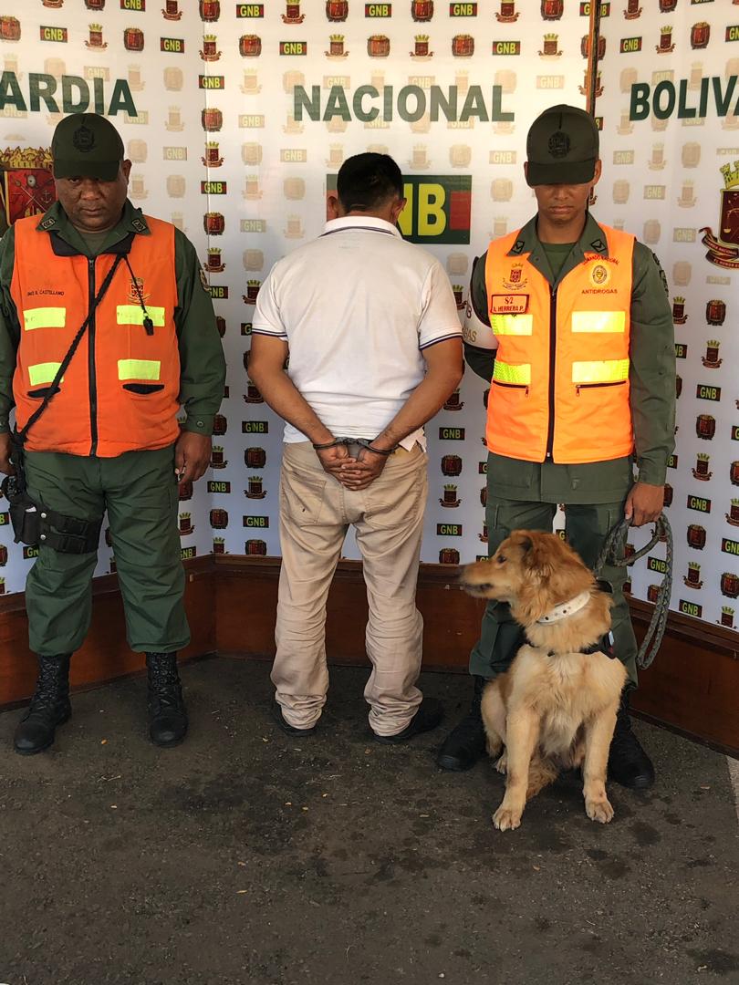 ACN- GNB capturó a traficante con 139 kilos de droga en Carabobo