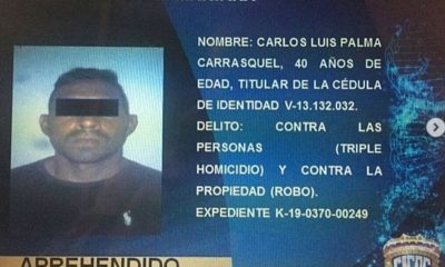 La policía científica apresó al autor de un triple homicidio - acn