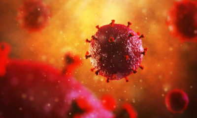 Segundo caso de VIH curado por trasplante de células madre