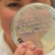Científicos descubren "Striptease" bacteriano que evade los antibióticos