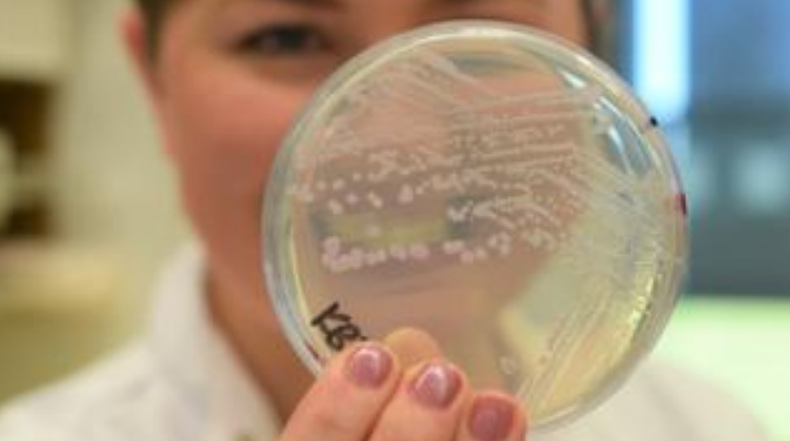 Científicos descubren "Striptease" bacteriano que evade los antibióticos