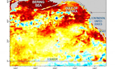 Científicos alarmados por calentamiento masivo del Océano Pacífico