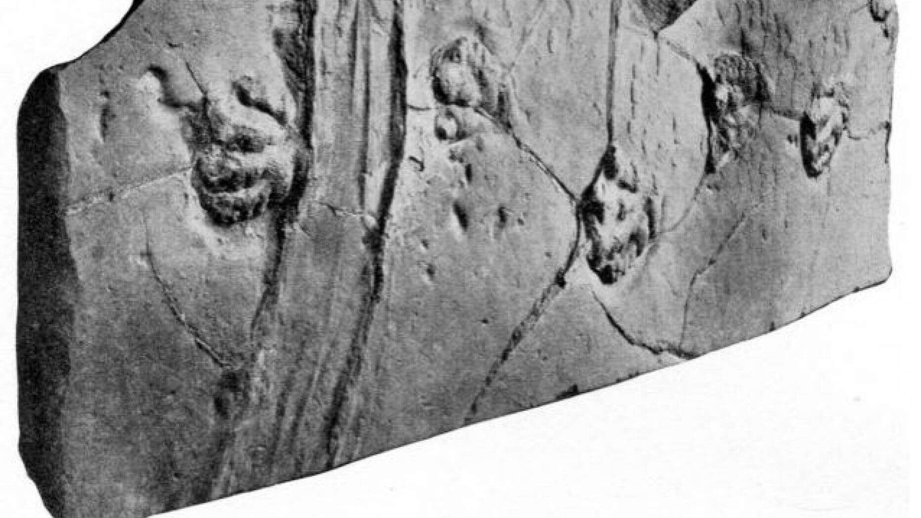 Revelan misteriosa "piedra navegante" mas antigua que los dinosaurios