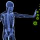Hallazgo en el sistema inmune podría lograr la erradicación del cáncer