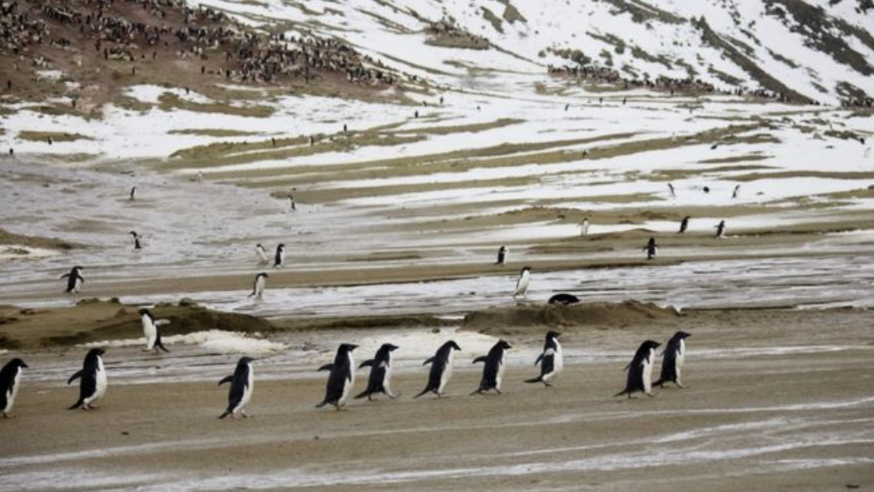 Cambio climático: Polo Sur alcanza record de alta temperatura