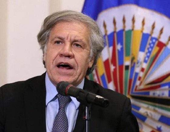 OEA reelige a Luis Almagro