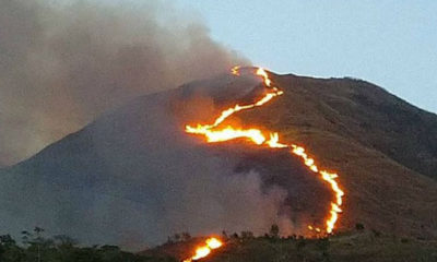 Incendios Forestales en el País - ACN