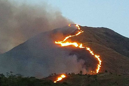 Incendios Forestales en el País - ACN