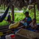 Indígenas de Venezuela sin servicios - ACN