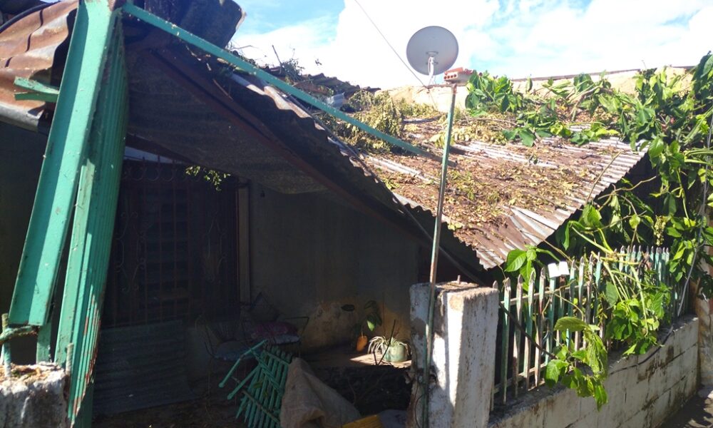 Árbol caído sobre viviendas en Los Guayos