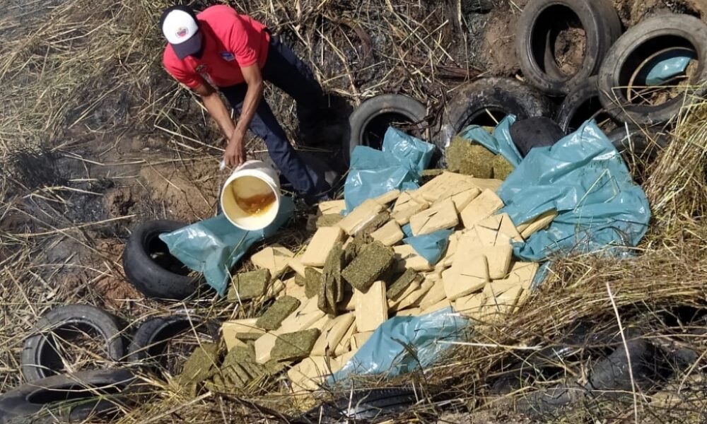 Quemaron droga incautada en Carabobo