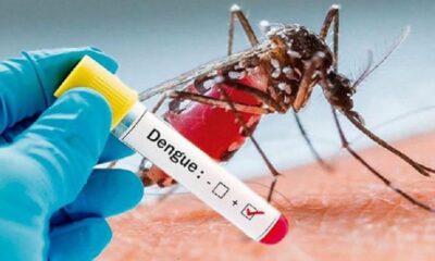 Aumento en muertes por dengue en Venezuela