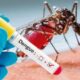 Aumento en muertes por dengue en Venezuela