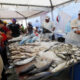 Ferias de pescado en Semana Santa