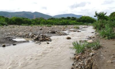 Abuelo y nietos murieron en río Táchira
