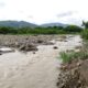 Abuelo y nietos murieron en río Táchira