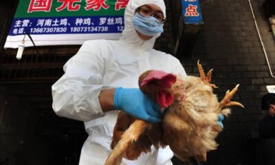 Caso gripe aviar en China - ACN