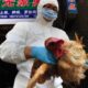 Caso gripe aviar en China - ACN