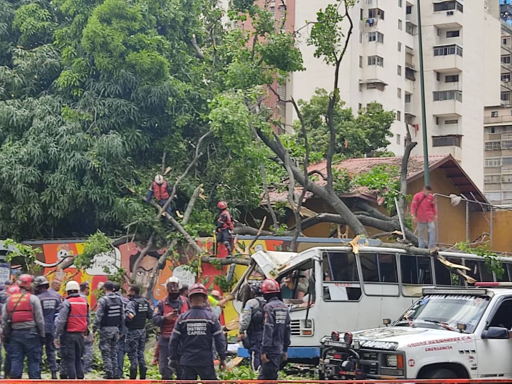 Tras caer un árbol sobre una unidad de transporte público que circulaba por la avenida México de Caracas éste viernes 2 de julio, se conoció de manera extraoficial que hubo un muerto- acn