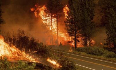 Incendio forestal en California - ACN
