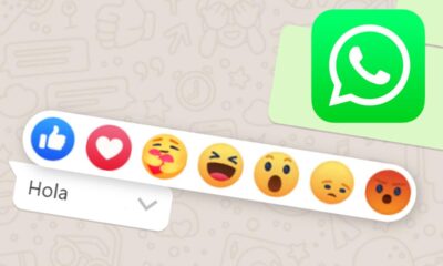 Reacciones en WhatsApp - ACN