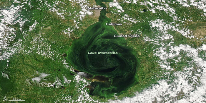 NASA: Lago de Maracaibo se está asfixiando