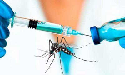 Vacuna contra el Chikungunya