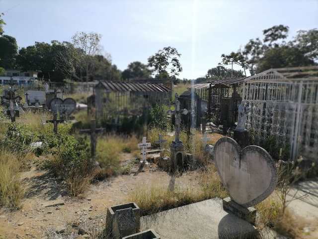 cementerio campo carabobo abandonado- acn