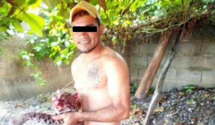 Detenido hombre tras matar un Cunaguaro-acn