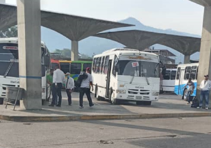 Terminales paralelos en Táchira - noticiacn
