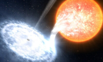 detectan estrella similar al sol