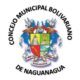 Concejo Municipal de Naguanagua se solidariza - noticiacn