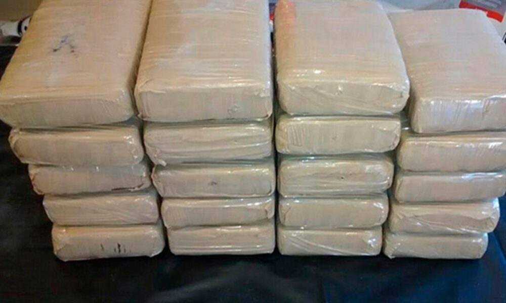 mil 919 paquetes de presunta cocaína - acn