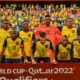 Ecuador jugará el Mundial de Qatar - noticiacn
