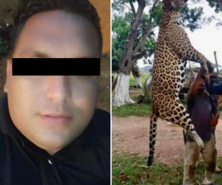 detenido-hombre-mato-jaguar-monagas