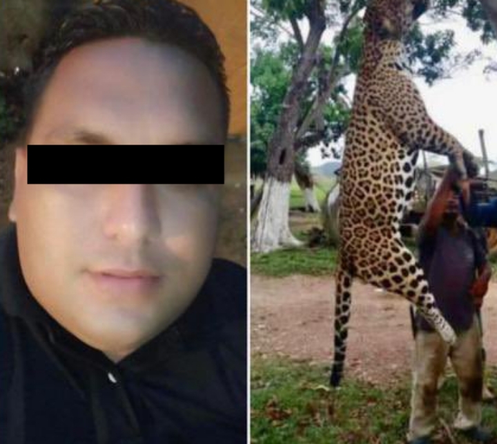 detenido-hombre-mato-jaguar-monagas