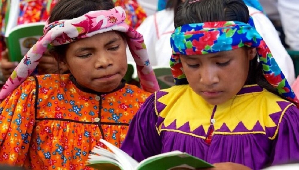 Enseñarán lenguas indígenas - noticiacn