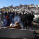 Más de 11.200 muertos en Turquía y Siria - noticiacn