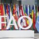 FAO aprueba plan estratégico de cooperación con Venezuela-acn