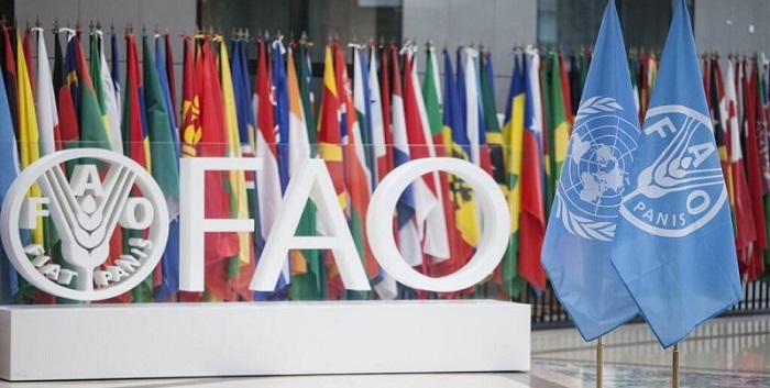 FAO aprueba plan estratégico de cooperación con Venezuela-acn