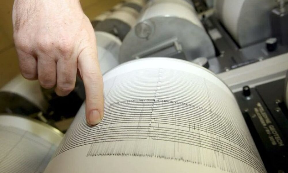 Terremoto sacude aguas del norte de Nueva Zelanda - noticiacn