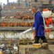 muerte gripe aviar China-acn