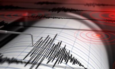 terremoto en aguas del norte de Nueva Zelanda - noticiacn