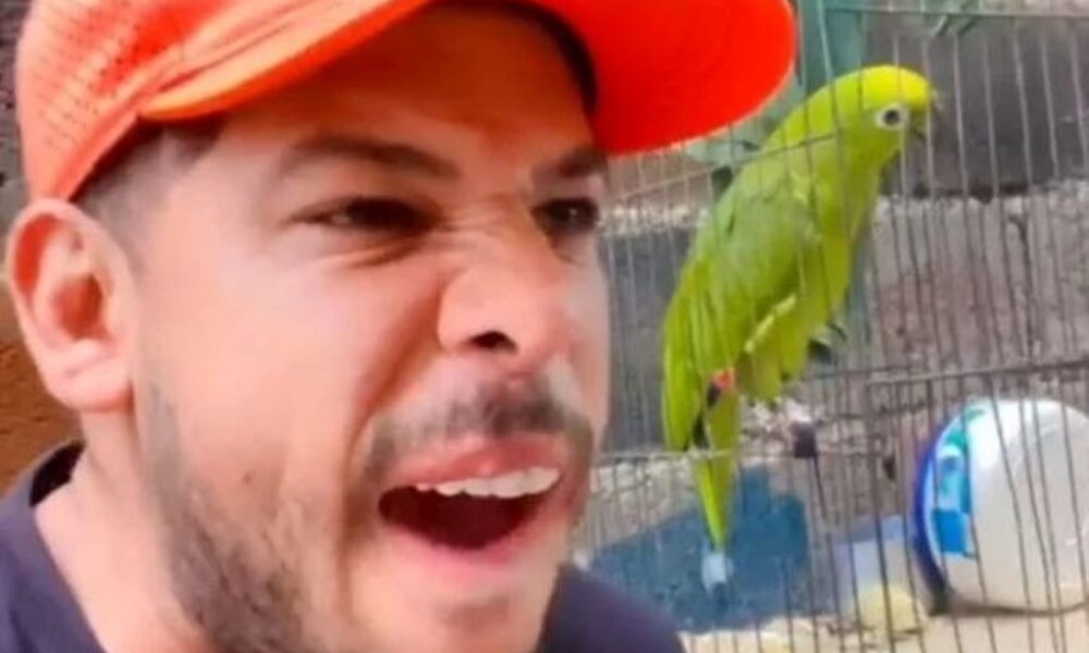 humorista venezolano herido de bala en presentanción en Brasil - noticiacn