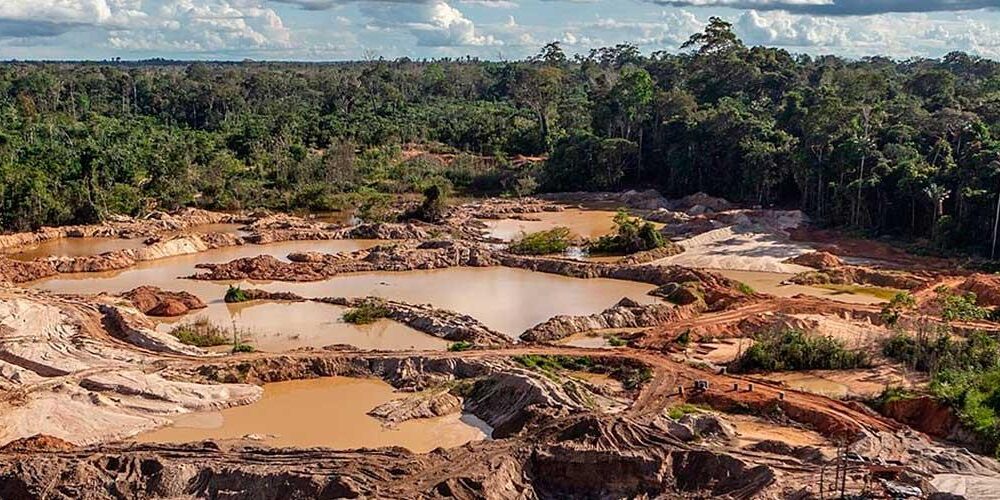 delitos ambientales en Amazonas-acn